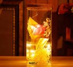 Rose Glass Lamp With Wooden Caps  Cheezstore