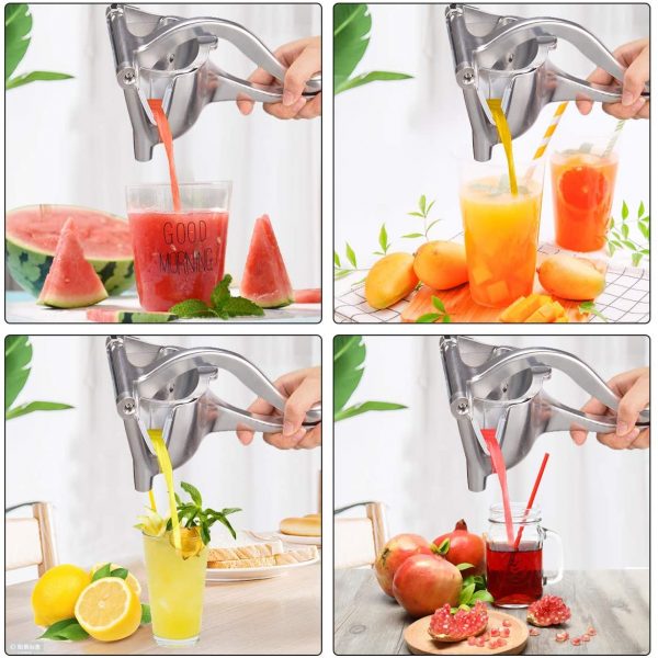 Manual Fruit Juicer  Cheezstore